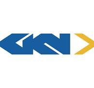 GKN Driveline India Limited Preipo Shares
